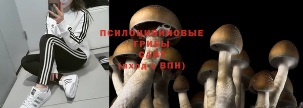 MESCALINE Алзамай