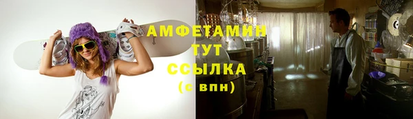 метадон Алексин
