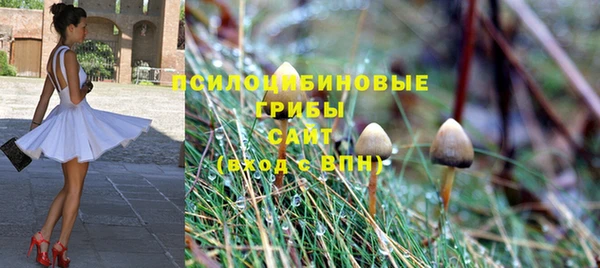 PSILOCYBIN Алексеевка