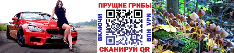 Псилоцибиновые грибы прущие грибы  купить наркотики сайты  Южно-Сухокумск 